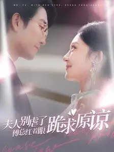 《夫人别虐了傅总红着眼跪求原谅》：霸道总裁文标配？还是另辟蹊径的爱情“复盘”？